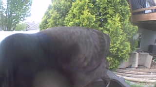 Unidentified clip