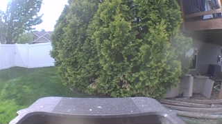 Unidentified clip