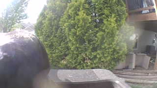 Unidentified clip