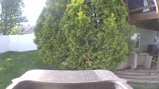 Unidentified clip