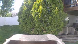 Unidentified clip
