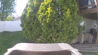 Unidentified clip