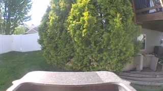 Unidentified clip