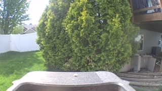 Unidentified clip