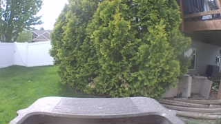 Unidentified clip