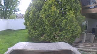 Unidentified clip
