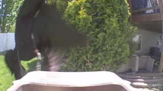 Unidentified clip