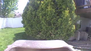 Unidentified clip