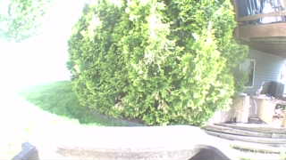 Unidentified clip