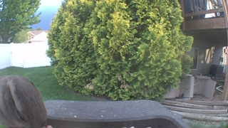 Unidentified clip