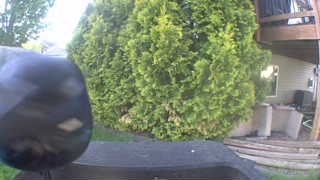 Unidentified clip