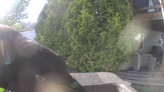 Unidentified clip