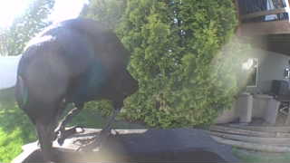 Unidentified clip