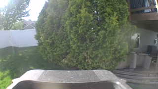 Unidentified clip