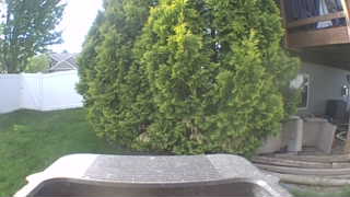 Unidentified clip