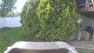 Unidentified clip