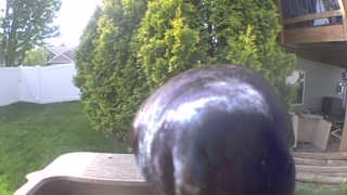 Unidentified clip