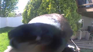 Unidentified clip