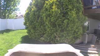 Unidentified clip