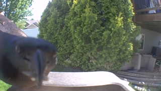 Unidentified clip