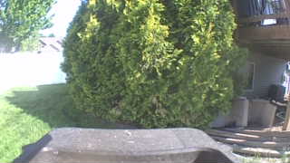 Unidentified clip