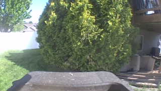 Unidentified clip