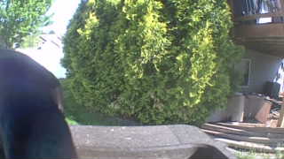 Unidentified clip