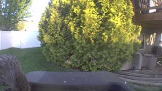 Unidentified clip