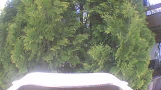 Unidentified clip