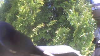 Unidentified clip