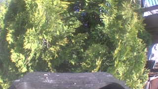 Unidentified clip