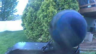 Unidentified clip