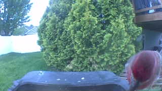 Unidentified clip