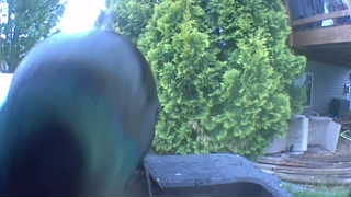 Unidentified clip