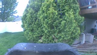 Unidentified clip