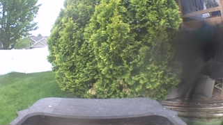Unidentified clip