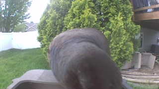 Unidentified clip