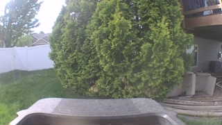 Unidentified clip