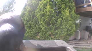 Unidentified clip
