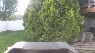Unidentified clip