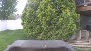 Unidentified clip