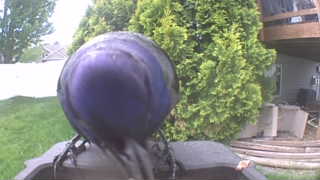Unidentified clip