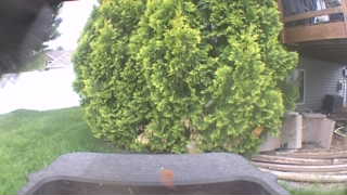 Unidentified clip