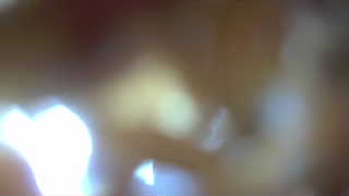 Unidentified clip