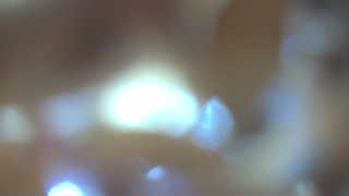 Unidentified clip