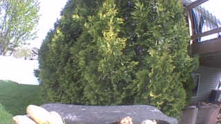 Unidentified clip