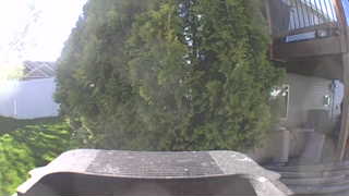 Unidentified clip