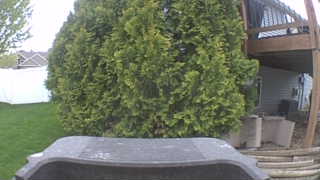 Unidentified clip