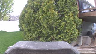 Unidentified clip