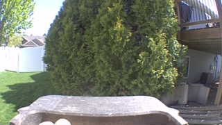 Unidentified clip